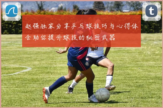 赵强独家分享乒乓球技巧与心得体会助你提升球技的秘密武器