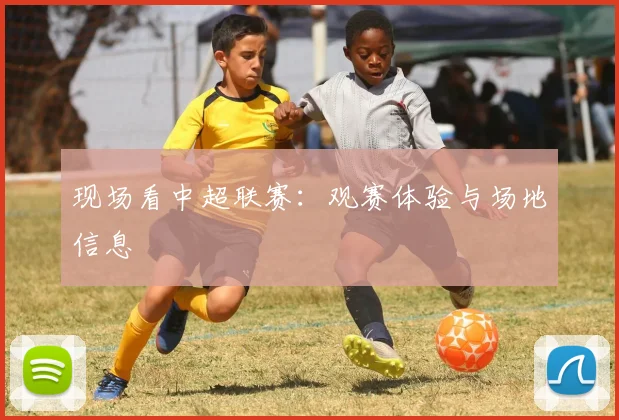 现场看中超联赛：观赛体验与场地信息